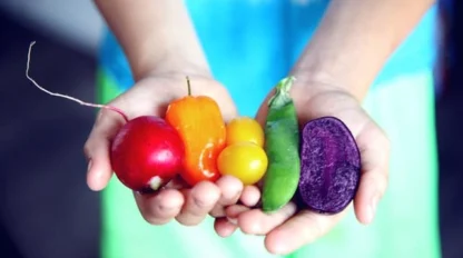 A person holds various colorful vegetables in their hands, including a radish, orange tomato, yellow tomato, snap pea, and a piece of purple potato.