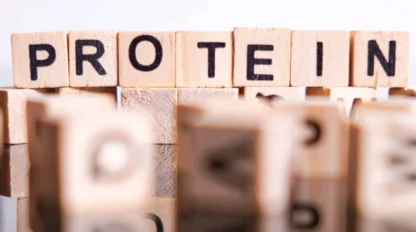 Wooden letter blocks spell out the word "PROTEIN" on a reflective surface, with other out-of-focus blocks in the foreground.