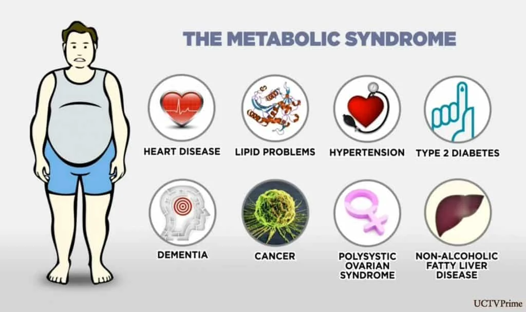 Illustration of a person with metabolic syndrome and icons representing related conditions: heart disease, lipid problems, hypertension, type 2 diabetes, dementia, cancer, PCOS, and fatty liver disease.