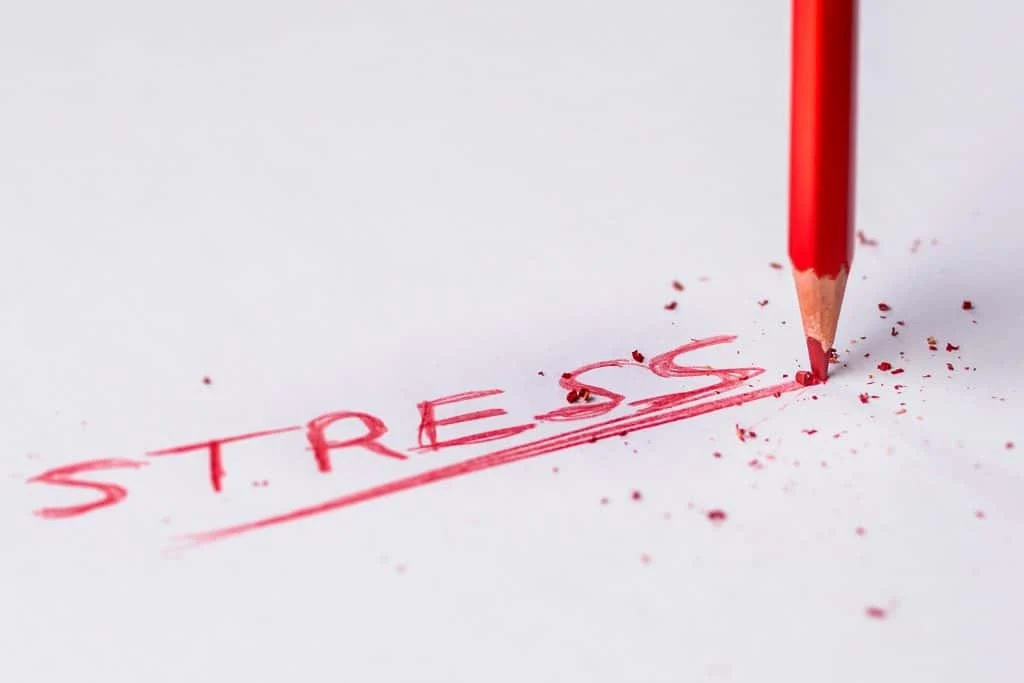 A red pencil underlines the word "STRESS" written on white paper, with pencil shavings scattered around.